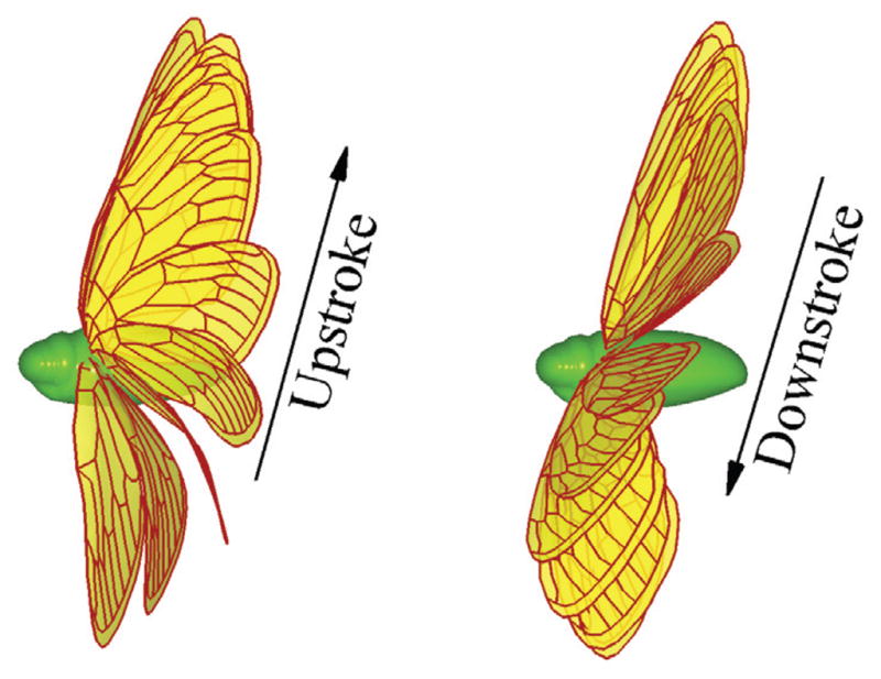 Figure 15