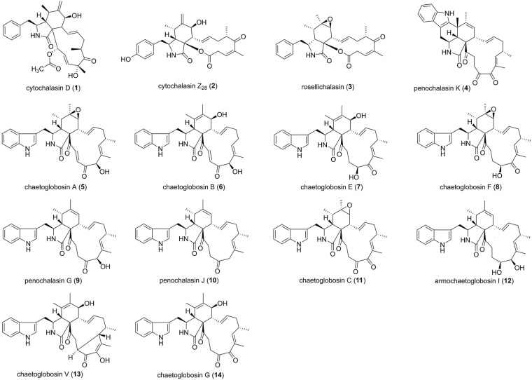 FIGURE 1