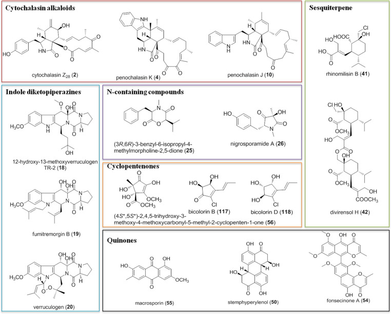 FIGURE 12