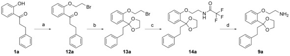 Scheme 4