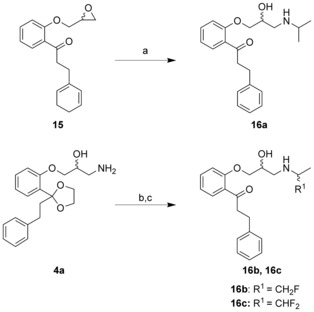 Scheme 5