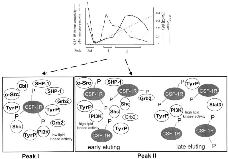 FIG. 7