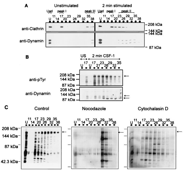 FIG. 6