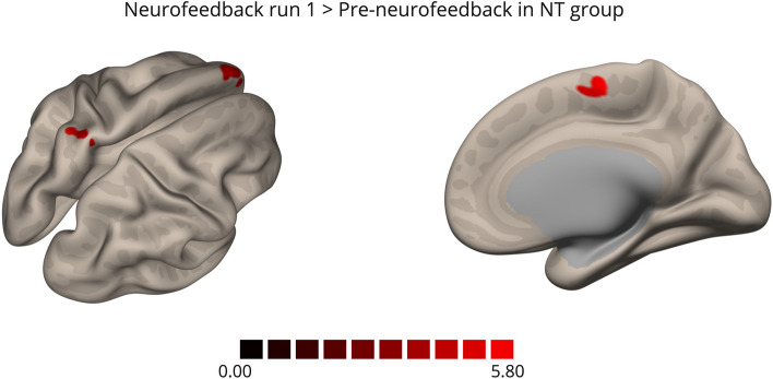 Fig. 8