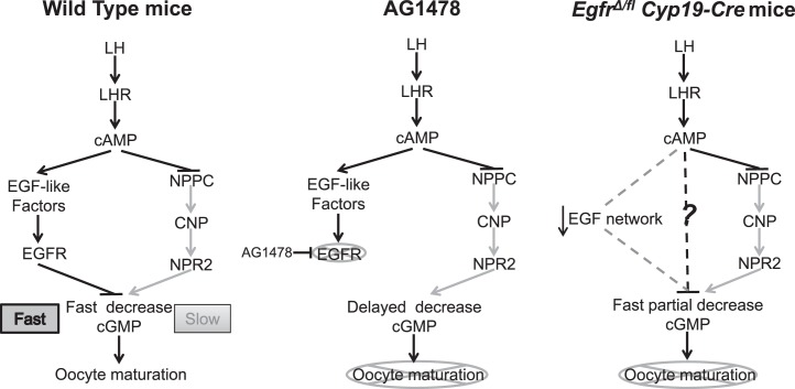 FIG. 9