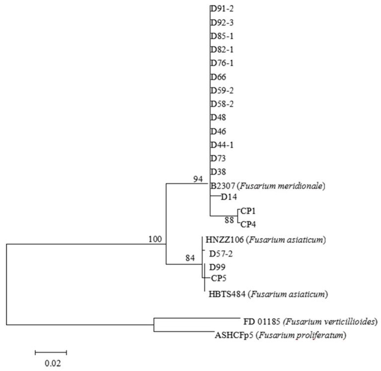 Figure 2