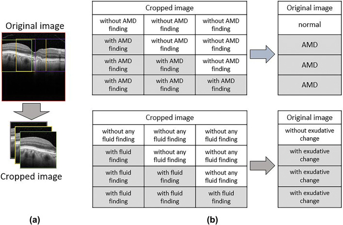 Fig. 2