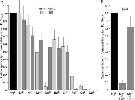 FIGURE 4.