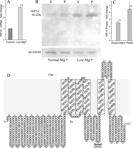 FIGURE 1.