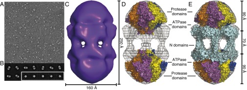 Fig. 3.