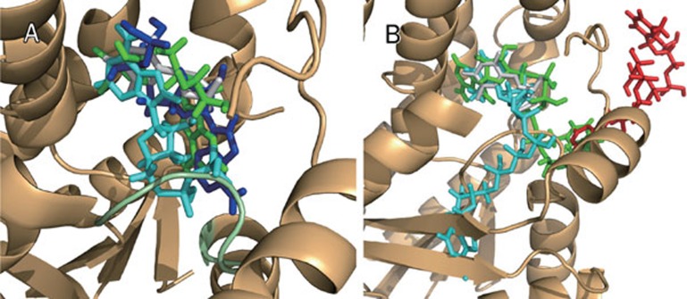 Figure 10