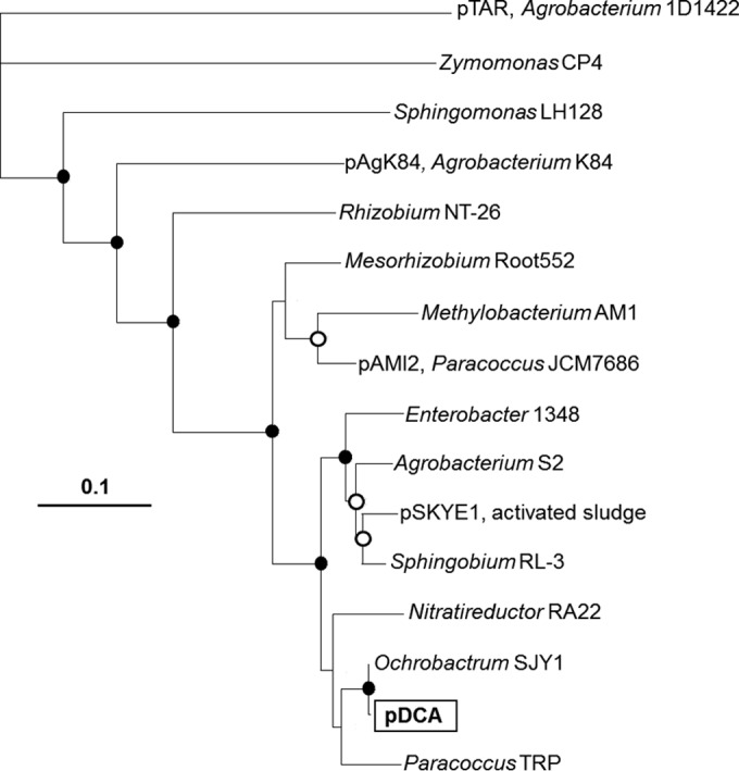 FIG 5