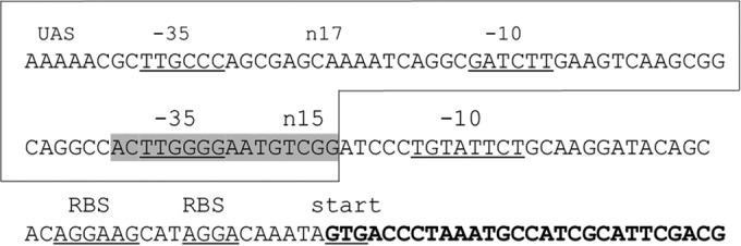 FIG 6