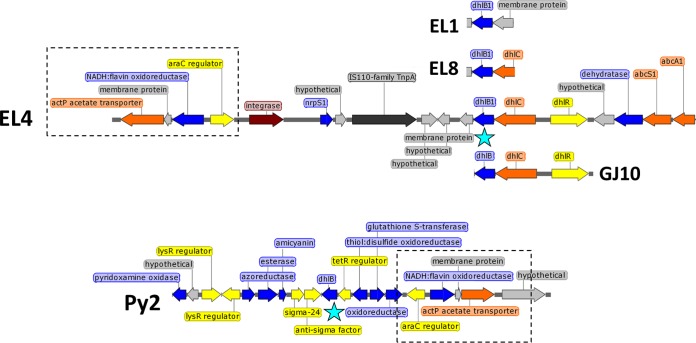 FIG 1