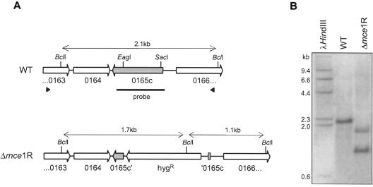 FIG. 5.