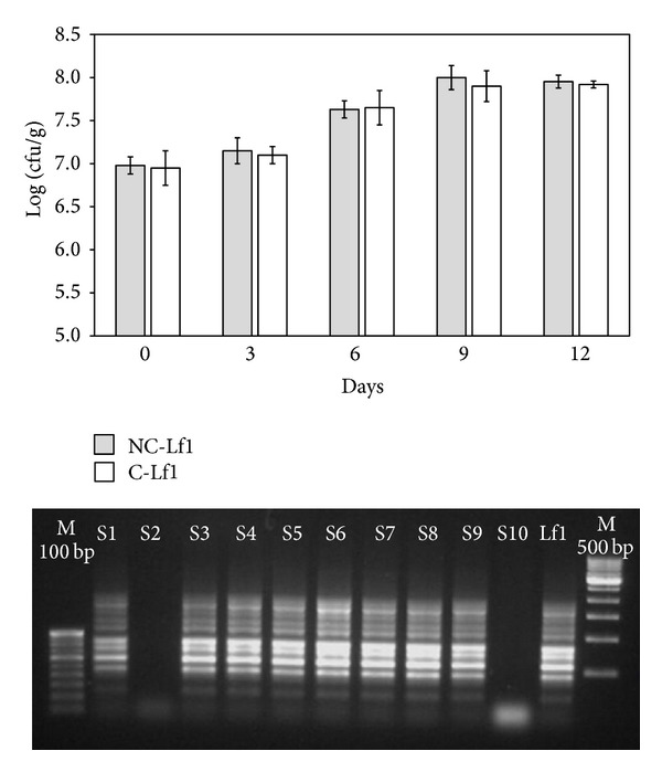 Figure 5