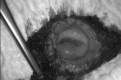 Figure 9.