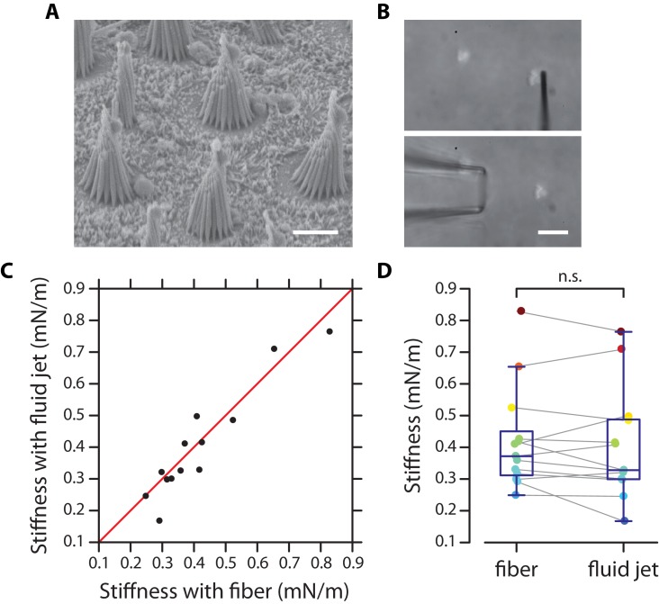 Figure 2—figure supplement 4.