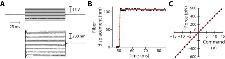 Figure 2—figure supplement 3.