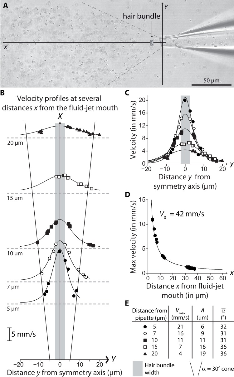 Figure 2—figure supplement 1.