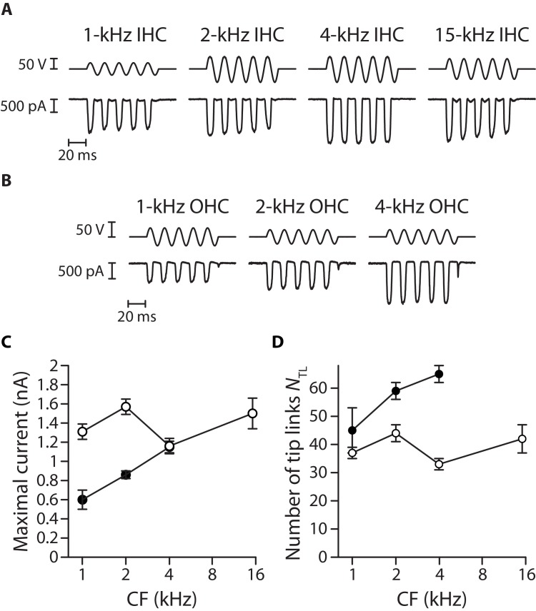 Figure 3—figure supplement 3.