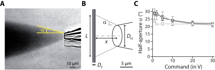 Figure 2—figure supplement 2.