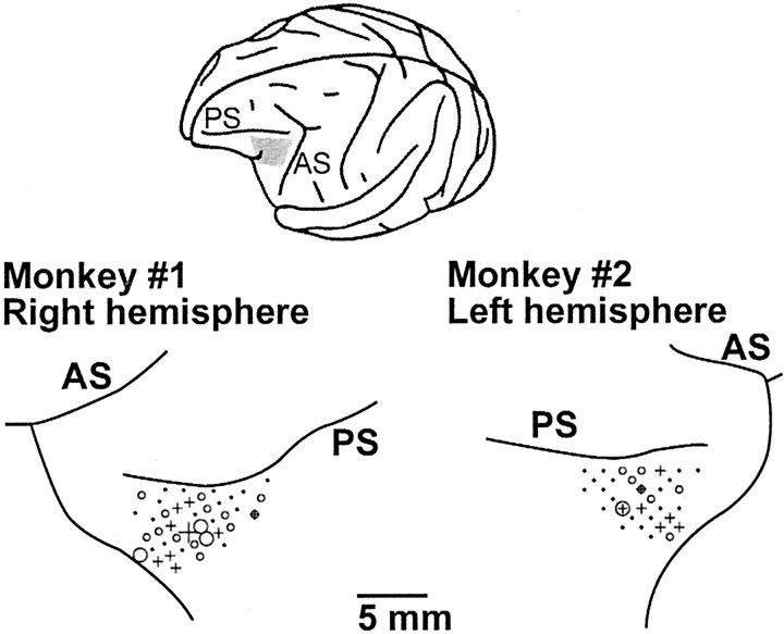 Fig. 6.