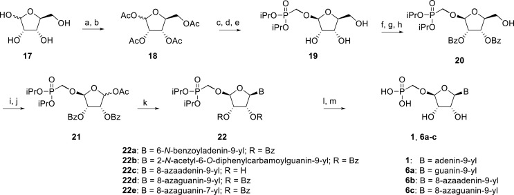 Scheme 2