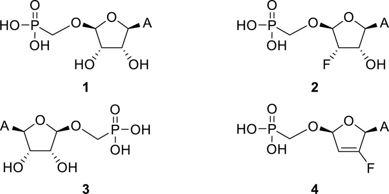 Fig. 1