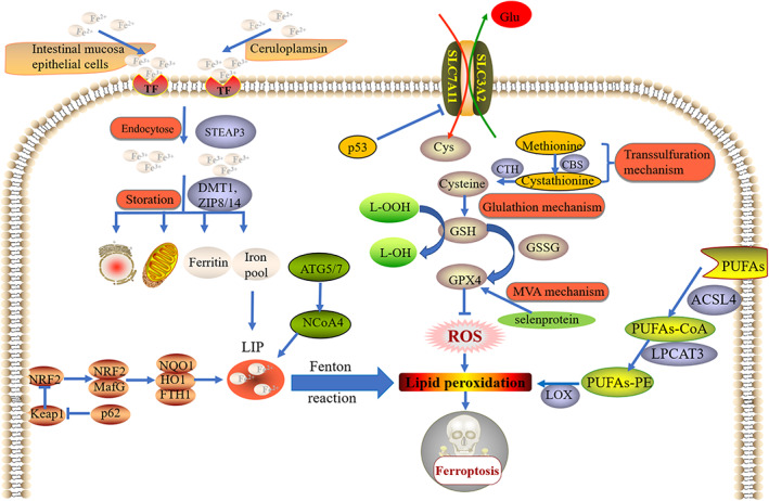 FIGURE 1