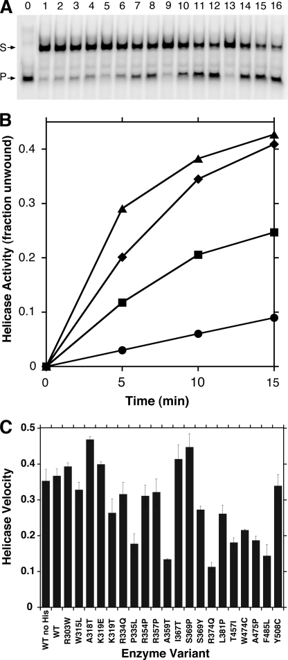 FIGURE 4.