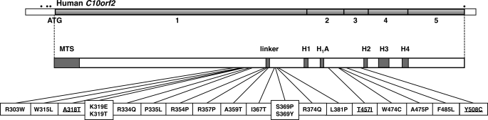 FIGURE 1.