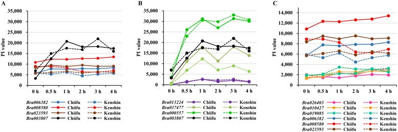 Fig 6