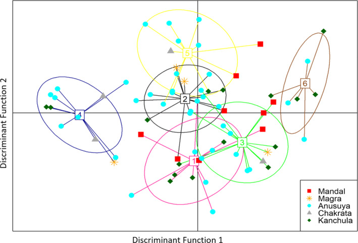 FIGURE 6