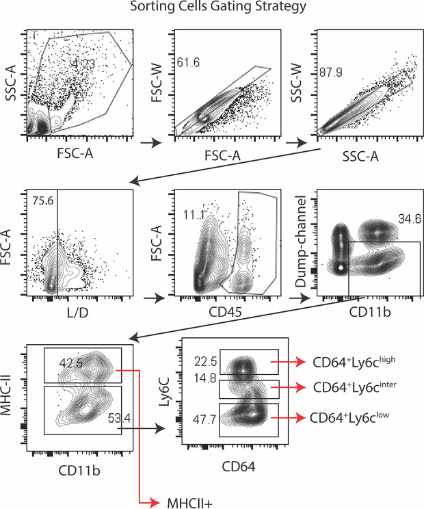 Figure 3