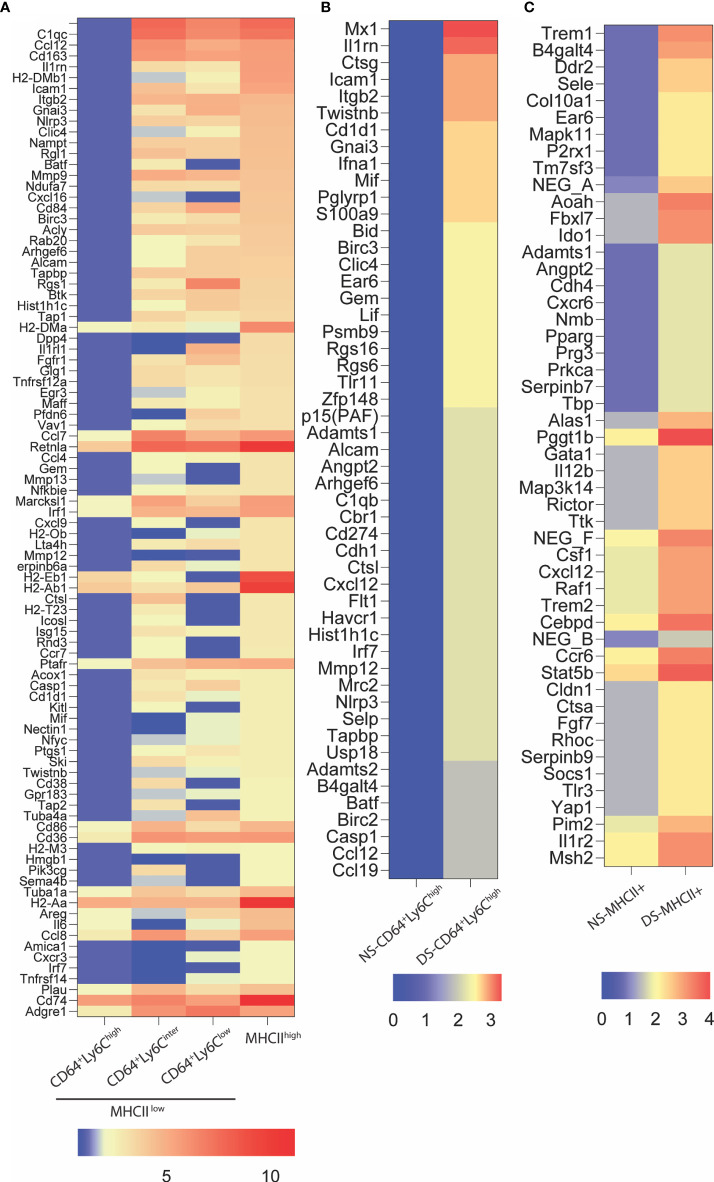 Figure 4