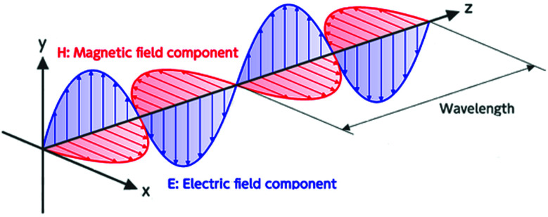 Fig. 1