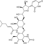 graphic file with name nihms-1036740-t0032.jpg
