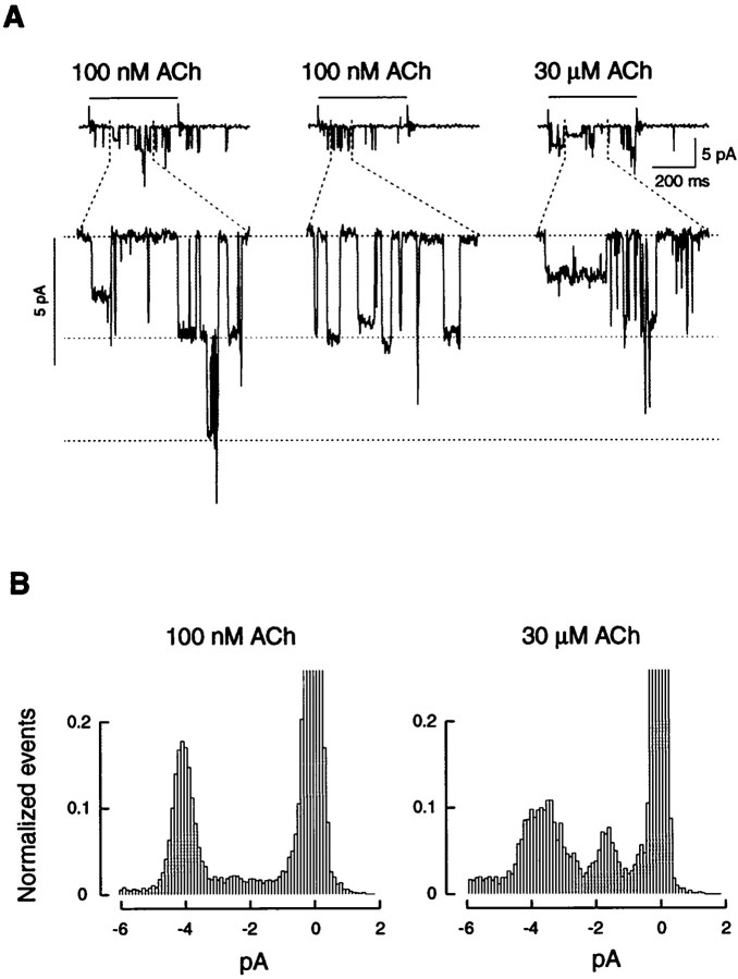 Fig. 6.