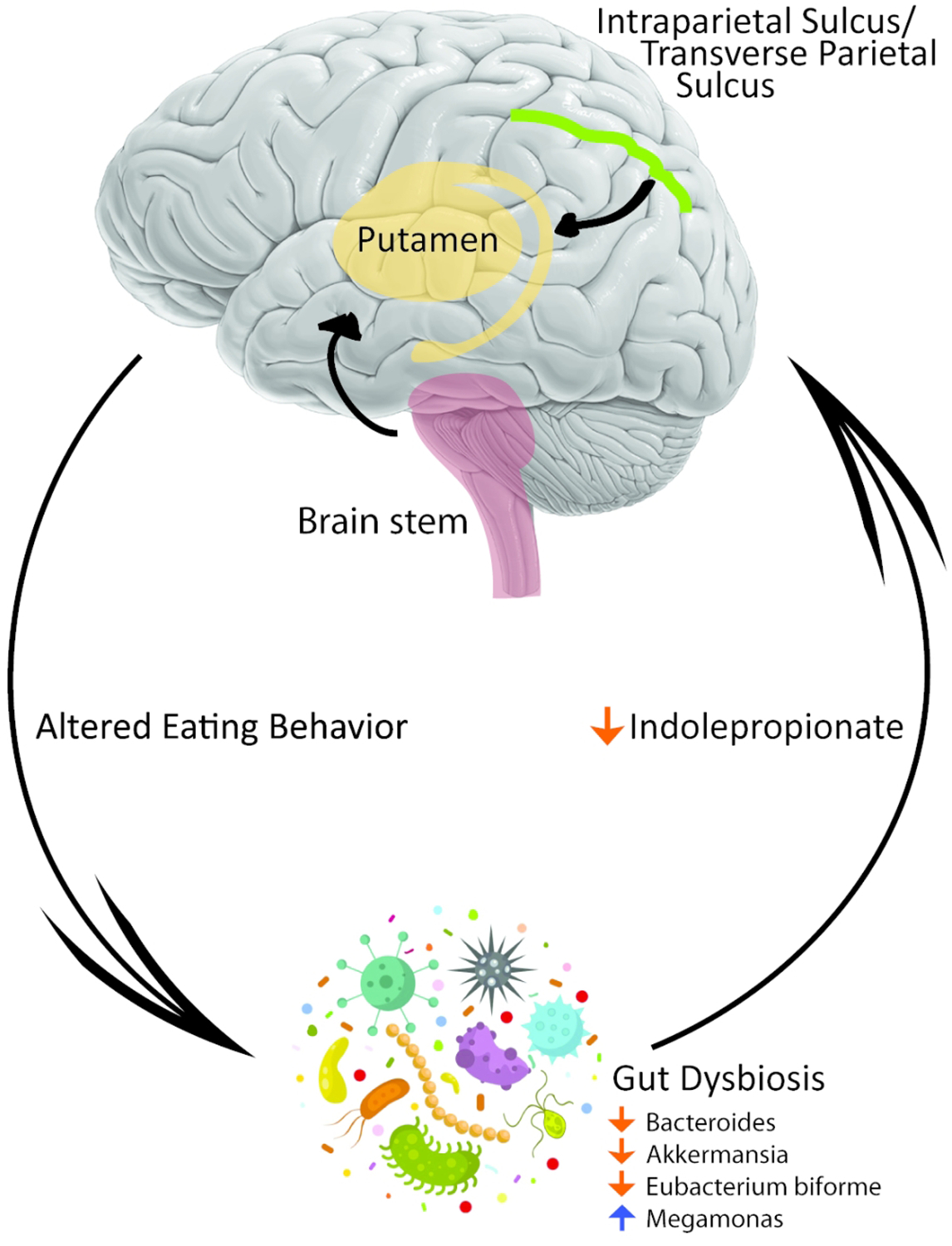 Figure 5: