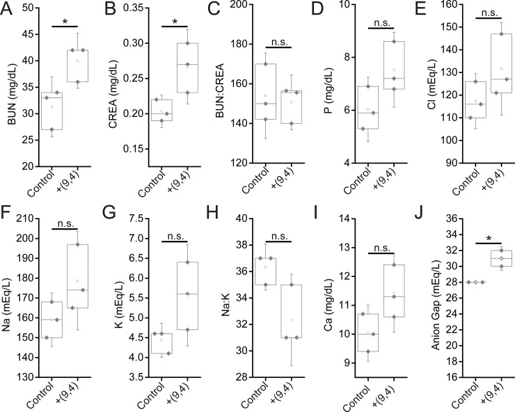 Fig 10