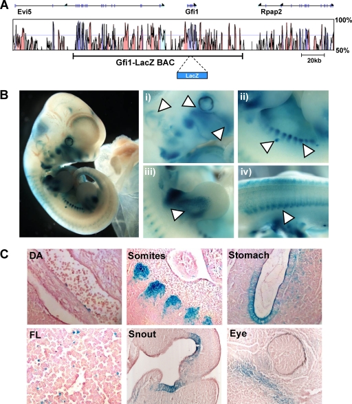 FIG. 7.