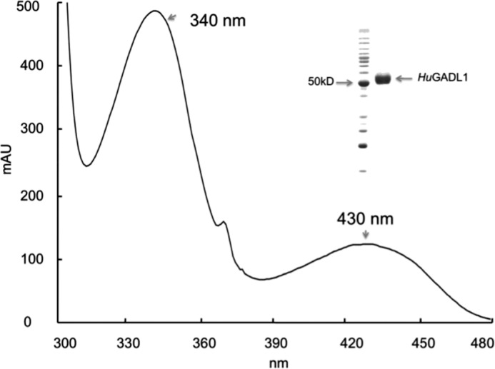 FIGURE 2.