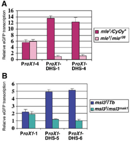 Figure 5