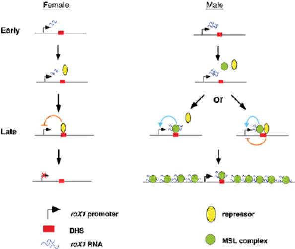 Figure 6