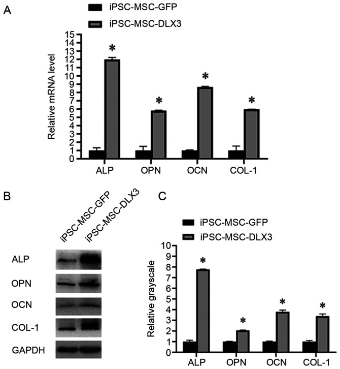 Figure 4.