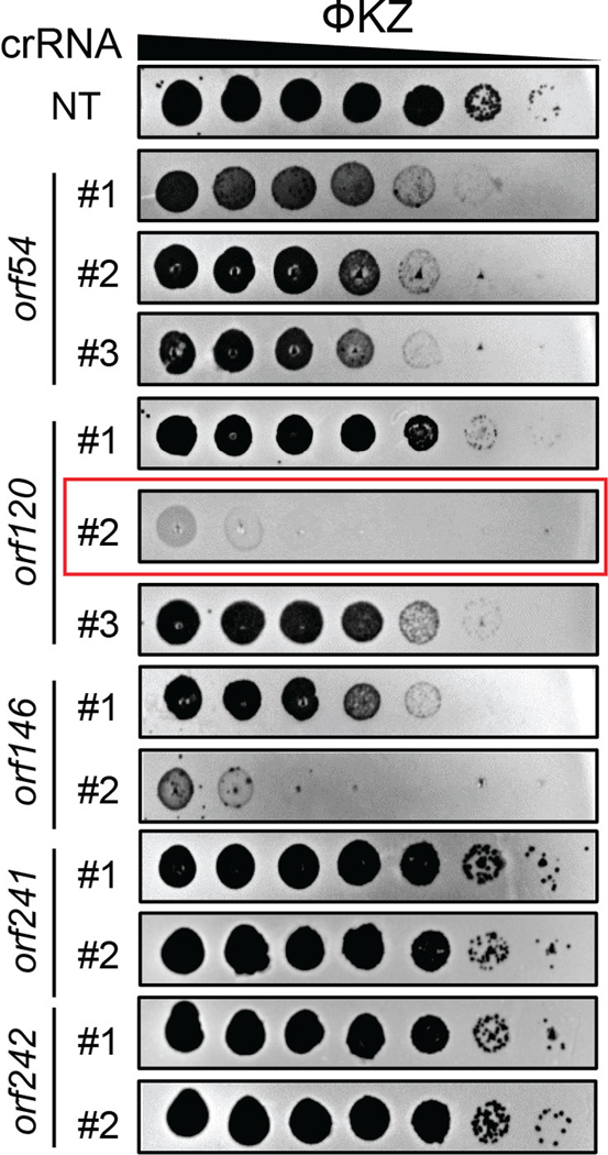 Extended Data Fig. 1