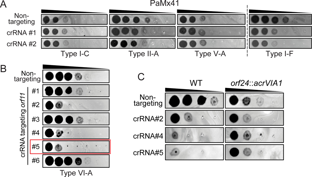 Fig. 5: