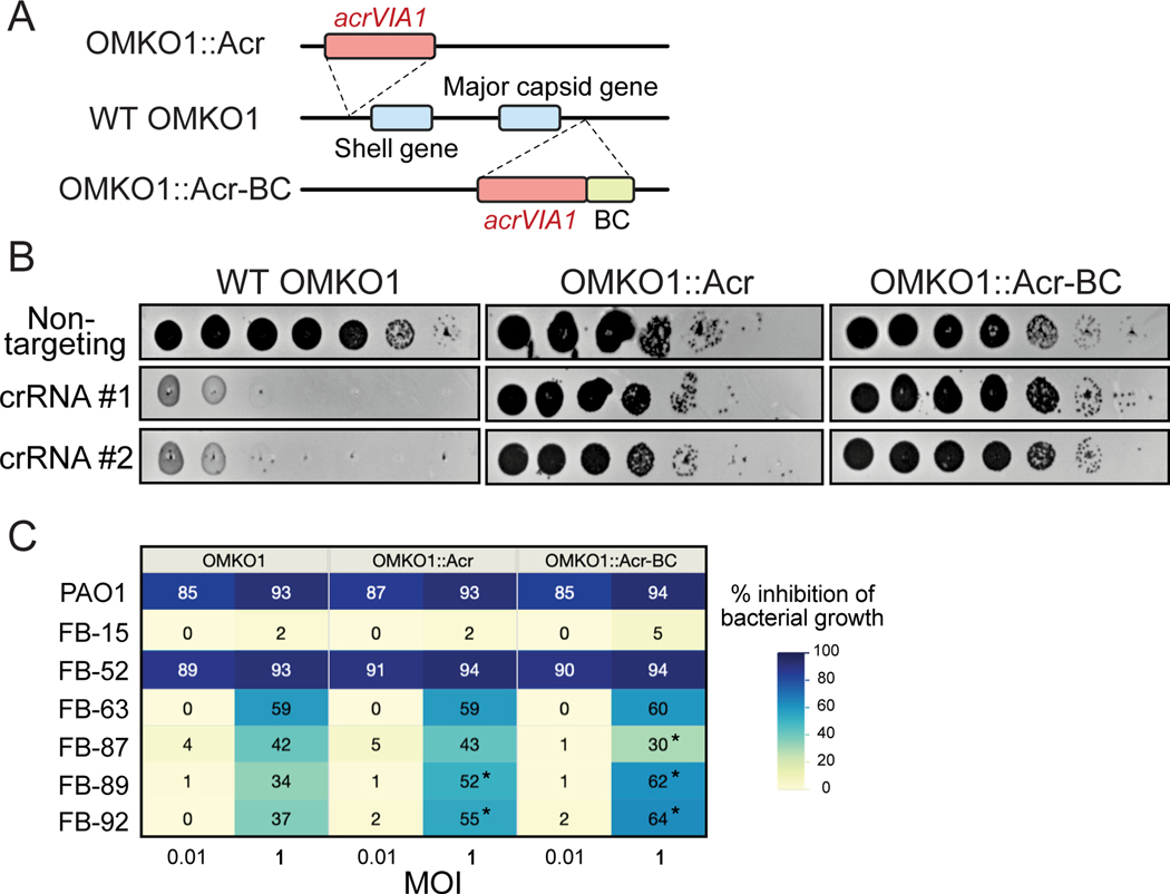 Fig. 4: