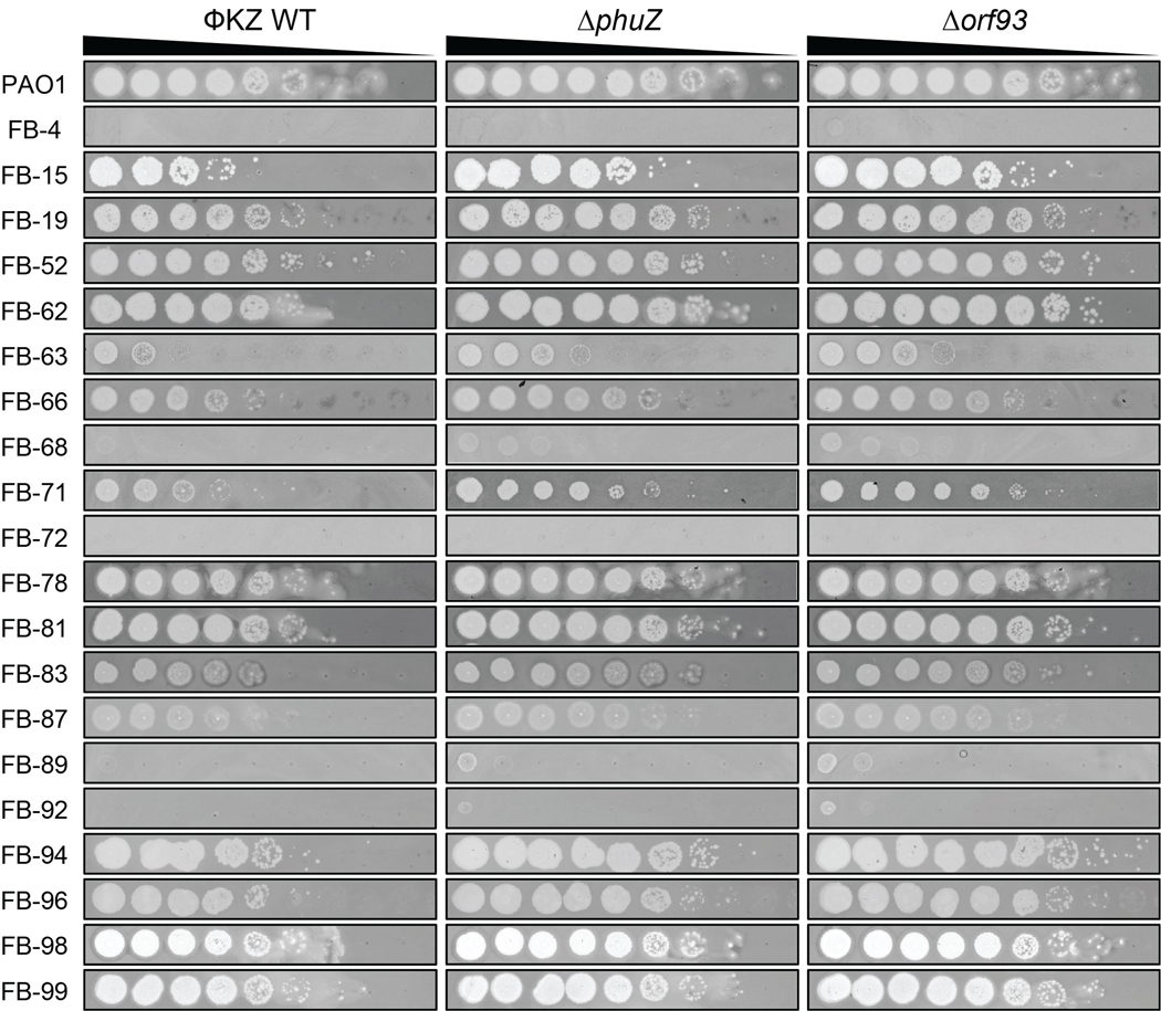 Extended Data Fig. 4